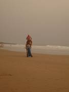 2 Kamele und ein Touareg