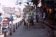 Stierwagen auf der Chandni Chowk Stierwagen auf der Chandni Chowk